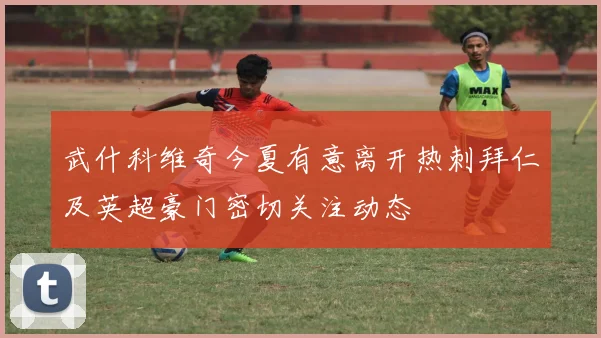 武什科维奇今夏有意离开热刺拜仁及英超豪门密切关注动态